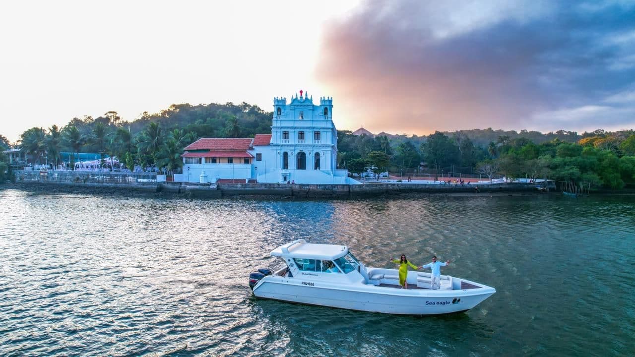 Dolphin Watching Trip