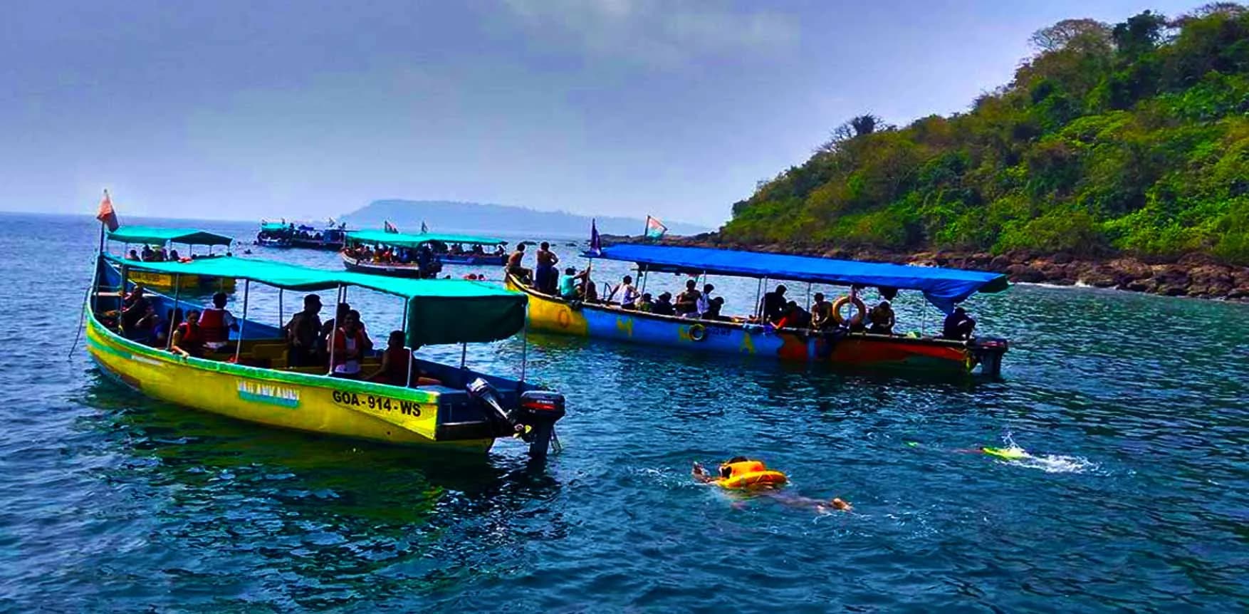 Dolphin Watching Trip